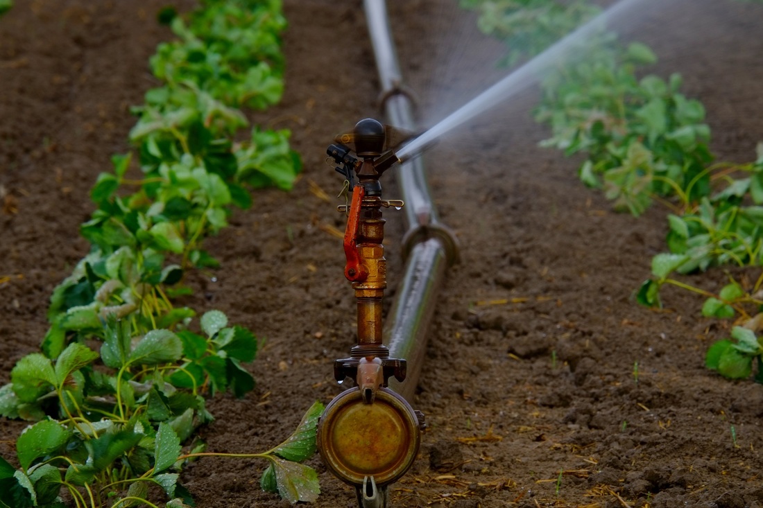 Irrigation Victoria BC Providing The Highest Quality Sprinkler Systems